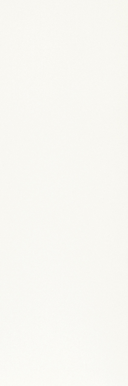 16649799724365-cottodestebodenblackwhite100x300snowplus3000x1000x35