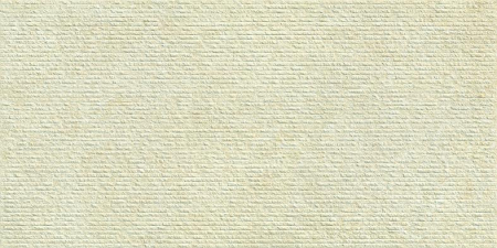 16769825837752-emilceramicabodenlandscape60x12060x120landscaperigatoavoriosilktechrt