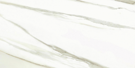 16769842719845-emilceramicabodenteledimarmoreloaded30x60300x600tmreloadedcalacattagoldcanovafulllappatort