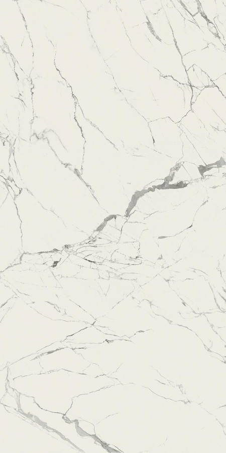 16842299175423-caesarbodenanima160x320silk