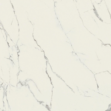 1684229934864-caesarbodenanima120x1201195rt
