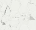 168423000305-caesarbodenanima285x33composizioneesagonoluc
