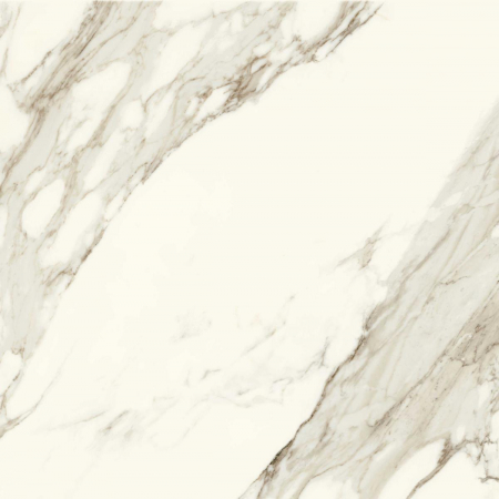 16842300218872-caesarbodenanimaever80x80lucidato