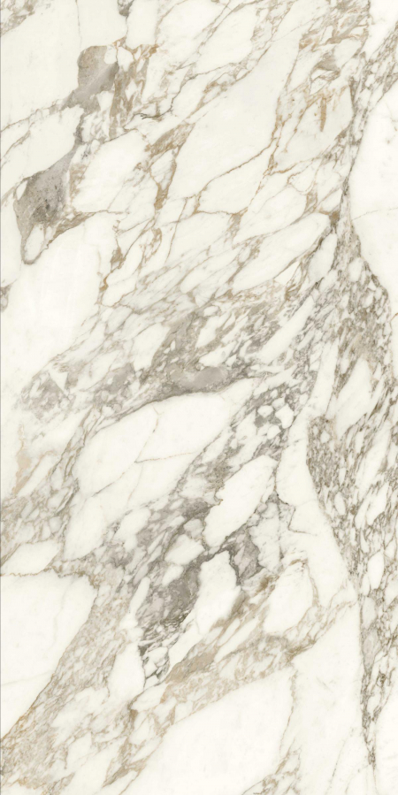 16842300271576-caesarbodenanimaever80x160lucidato
