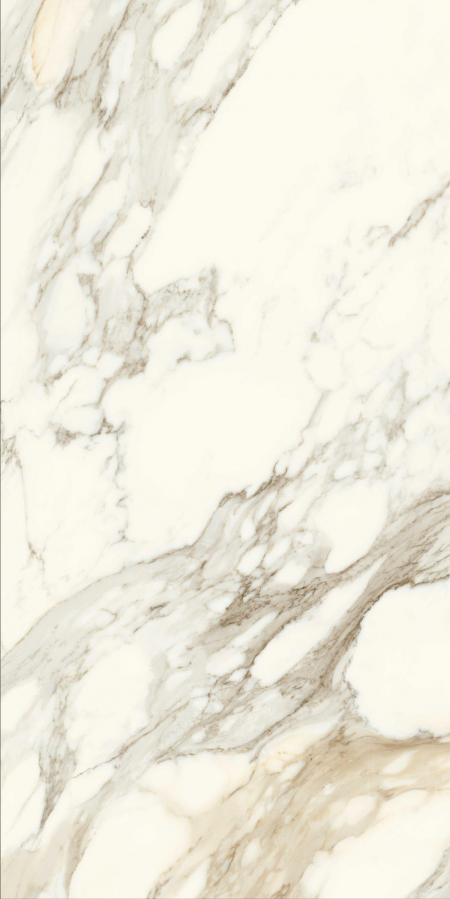 16842300337825-caesarbodenanimaever60x120lucidato
