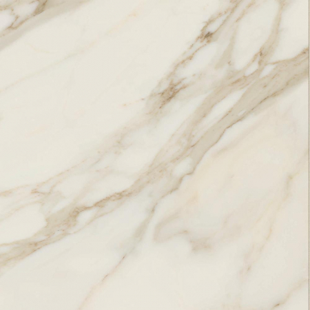 16842300928305-caesarbodenanimafutura60x60mattrt