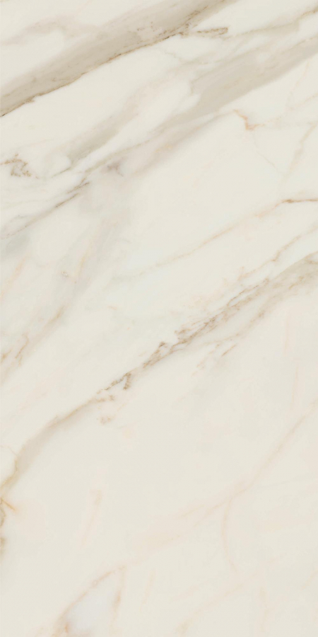 16842301012062-caesarbodenanimafutura60x120mattrt