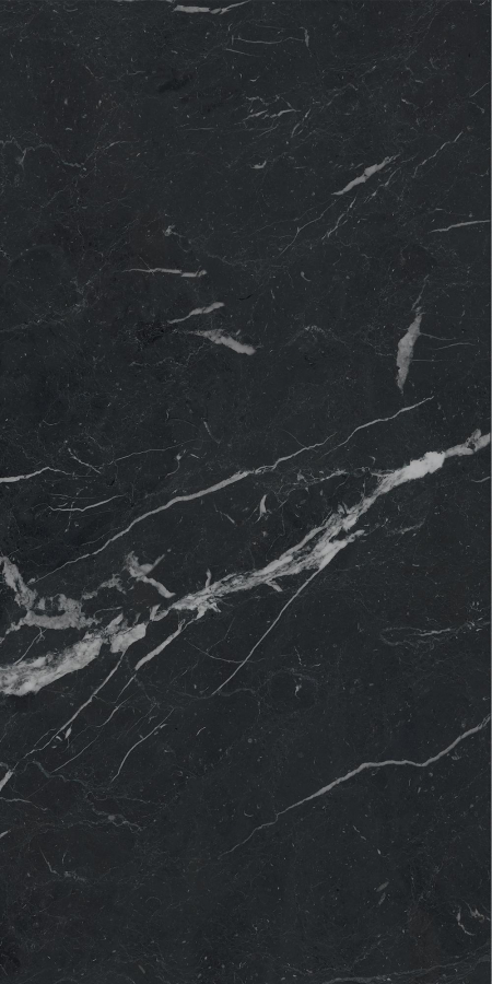16842301087788-caesarbodenanimafutura60x120mattrt