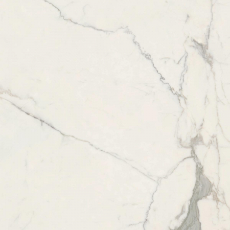 16842301213981-caesarbodenanimafutura80x80lucidatort