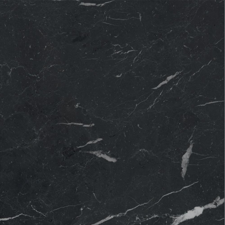 16842301341042-caesarbodenanimafutura60x60lucidatort