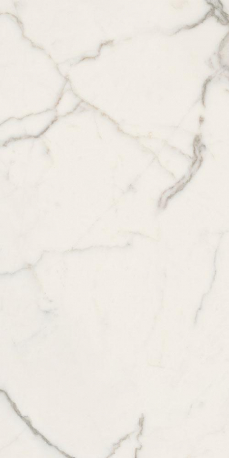 16842301540605-caesarbodenanimafutura30x60lucidatort