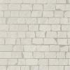 16843151197325-caesarbodencore30x30composizionears