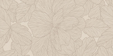 1684315128314-caesarbodendecosolutions60x120mattrt