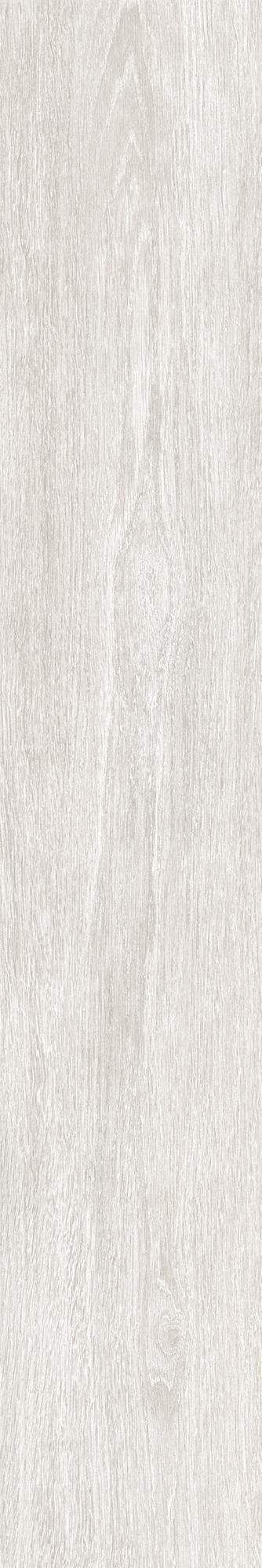 16843158880546-caesarbodenmeet20x120chevron