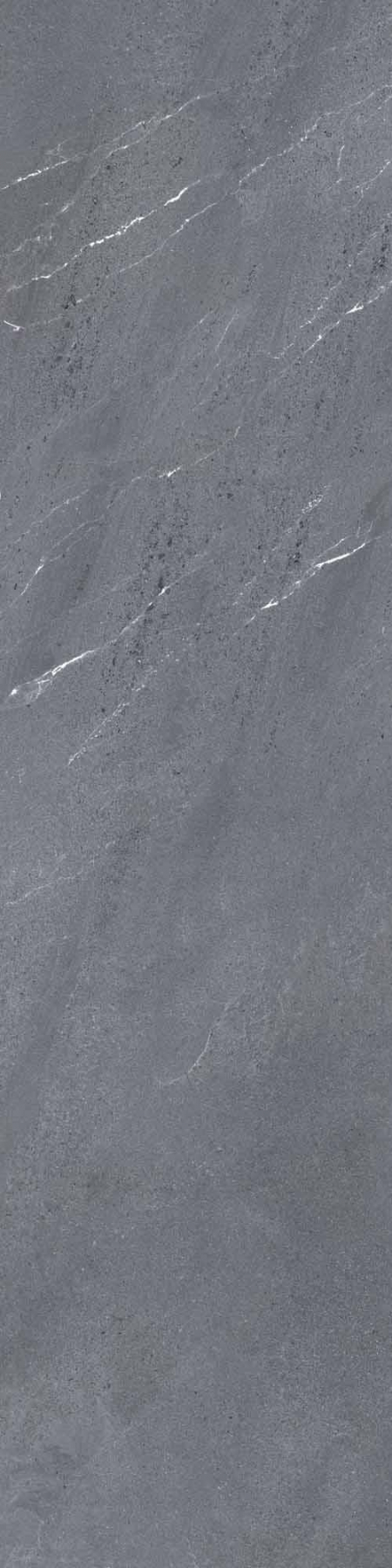 16843159680499-caesarbodenportraits30x120mattrt