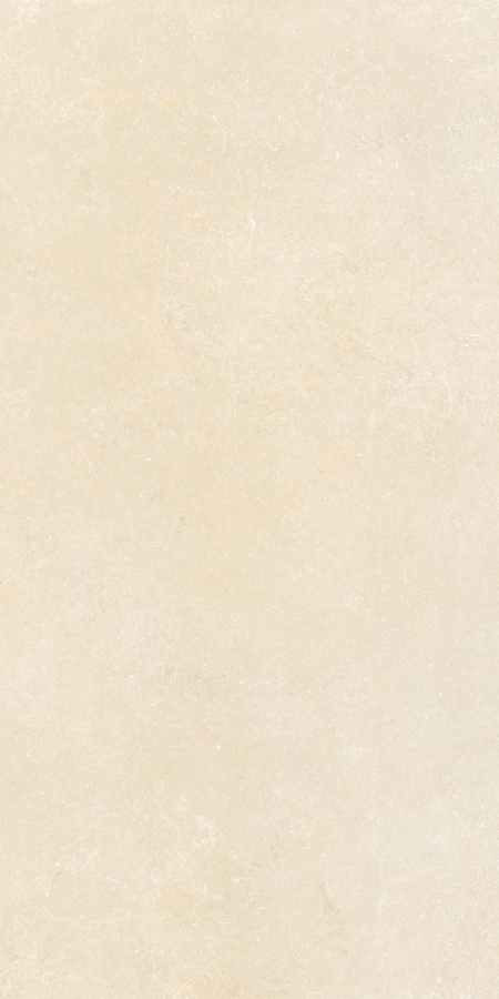 16843164268694-caesarbodenshapesofit60x120griprt