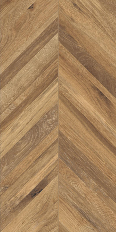 16941795359159-rondinebodentimeless60x120
