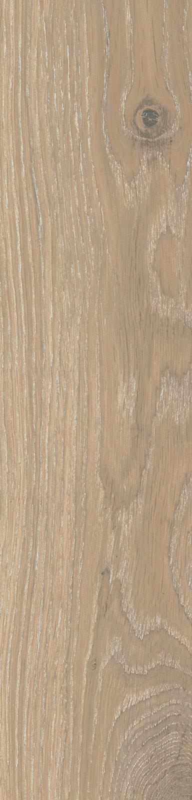 16941795498811-rondinebodentimeless75x45