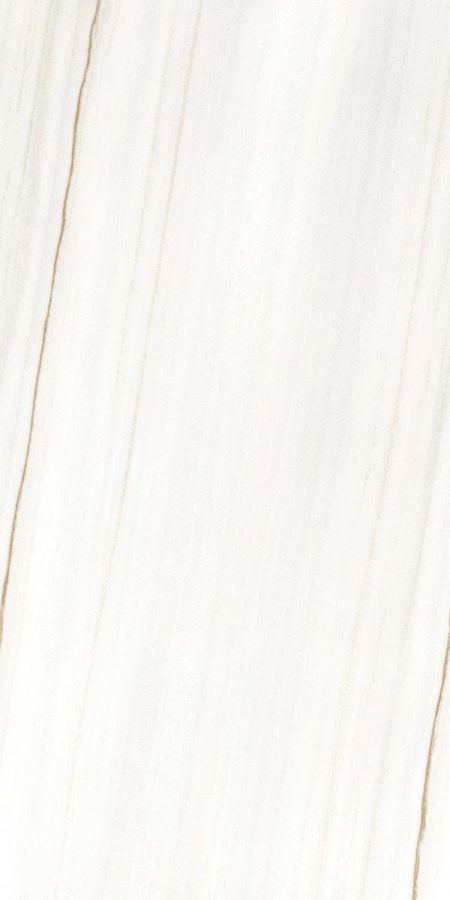 16941796069038-rondinebodencanova60x120
