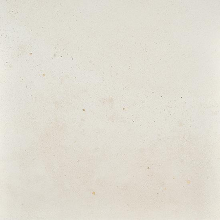 17334762330533-bodenfioranesekollektionicoccigrosze60x60farbecalceret