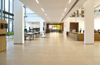 16649812552195-cottodestebodenkerliteelegance100x300montenapsilkpl3000x1000x55