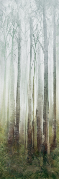 16649820942087-cottodestebodenwonderwall100x300dreamc3plus3000x1000x35