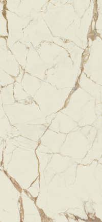 16650489916784-cottodestebodenvanity260x120macchivchainatch2600x1200