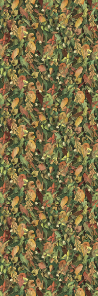 16650494092741-cottodestebodenwonderwall50x100foliageab3plus500x1000