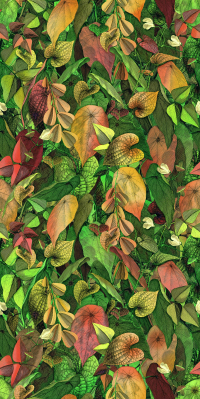 16650494138939-cottodestebodenwonderwall50x100foliageab3plus500x1000