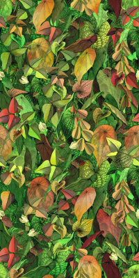 16650494184531-cottodestebodenwonderwall50x100foliageab3plus500x1000