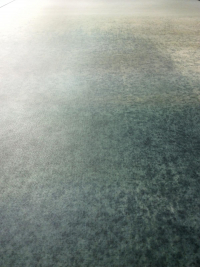 16650496722345-cottodestebodenwonderwall100x300colorballetb3plus3000x1000