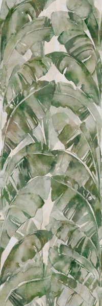 16650497145265-cottodestebodenwonderwall100x300jungleb3plus3000x1000x35