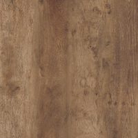 16650501878971-cottodestebodenkerlitewoodland30x240grovewildpls300x2400x65