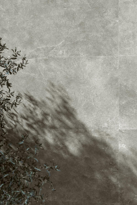 16650521142614-cottodestebodenlithos60x120stonesabbrtt600x1200x14