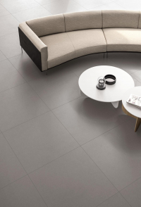 16654882152612-bodenblutech600x600cementonaturalecenerebtcenere14mmnatrtt2600x600