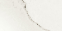 16654890217646-bodenelite300x600marmoglossystatuarioseltstatuarioglossyrtt8300x600