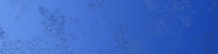 16660228919008-vivabodennarciso15x6015x60zaffiro