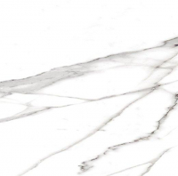 16757908124612-fapbodenromawalltiles50x120rtroma50statuario