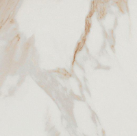 16757909131502-fapbodenromagoldgresporcellanato60x120rtromagold60x120calacattaorobrill