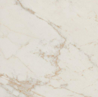 16757909350521-fapbodenromagoldgresporcellanato40x80rtromagold40x80calacattadelicatobrill