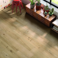 16769820635249-emilceramicaboden20twenty25x15025x150industrialrettificato