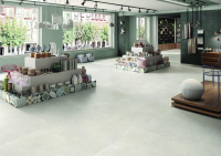 16769820942784-emilceramicabodenbesquare120x278120x278besquareivory