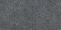 16769825615006-emilceramicabodenlandscape40x8040x80landscapeantracitesilktechrt