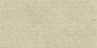 16769825900904-emilceramicabodenlandscape60x12060x120landscaperigatosabbiasilktechrt