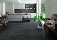 16769825975831-emilceramicabodenlandscape60x12060x120landscapeantracitesilktechrt