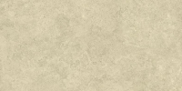 16769826093893-emilceramicabodenlandscape60x12060x120landscapesabbiasilktechrt