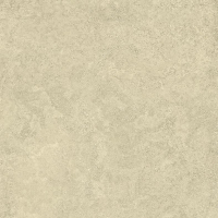 16769826500393-emilceramicabodenlandscape80x8080x80landscape20mmsabbianatrt