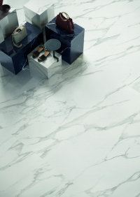 16769837056334-emilceramicabodenteledimarmo30x6030x60statuariomichlapluc