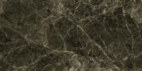 16769837113414-emilceramicabodenteledimarmo30x6030x60frapuccinopollockret