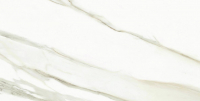 16769842930164-emilceramicabodenteledimarmoreloaded30x60300x600tmreloadedcalacattagoldcanovanatrt